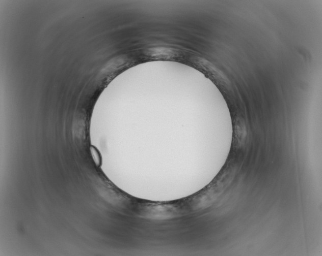 X0000112070379200909011028