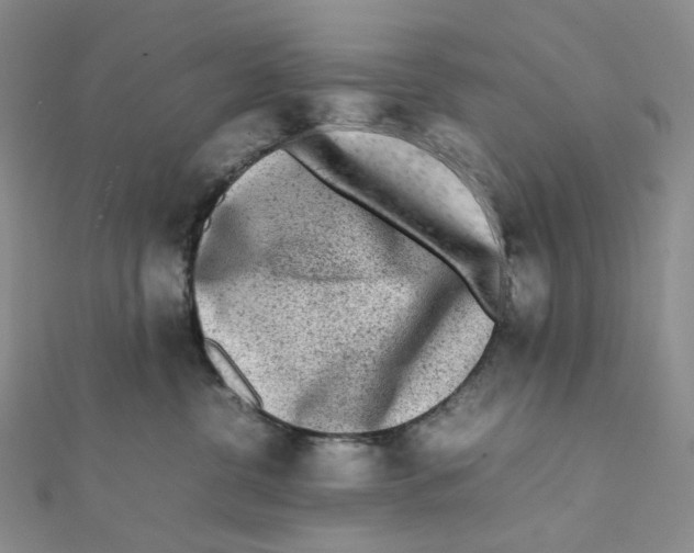 X0000112070380200909011028