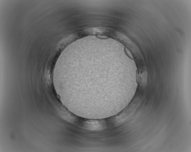 X0000112070381200909011028