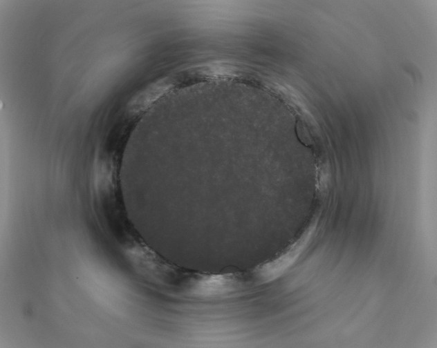 X0000112070382200909011028