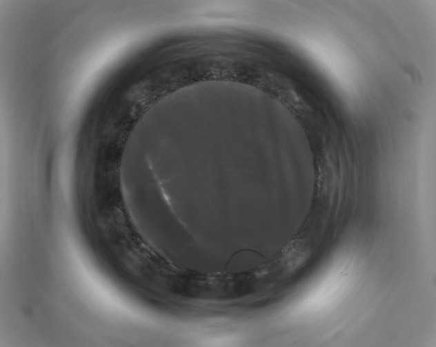 X0000112070383200909011028