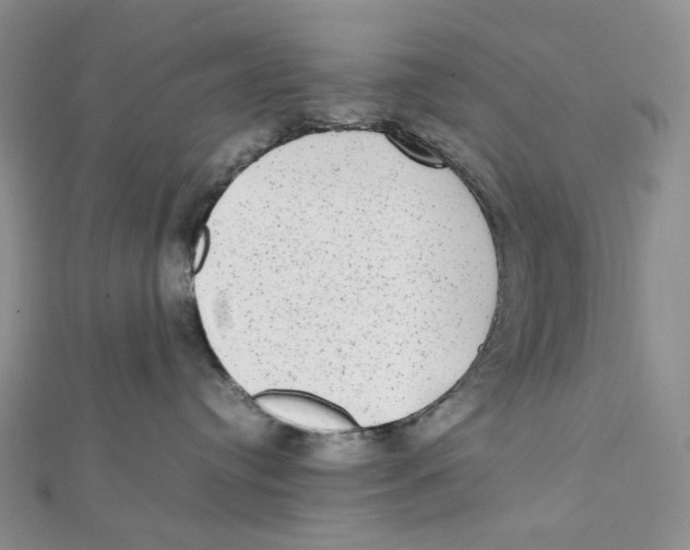 X0000112070384200909011028