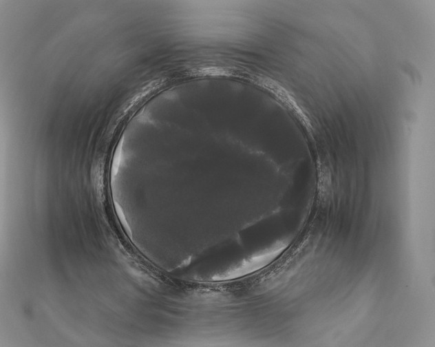 X0000112070386200909011027