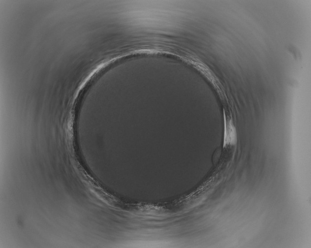 X0000112070387200909011027