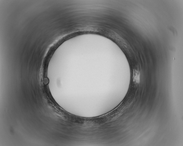X0000112070388200909011027