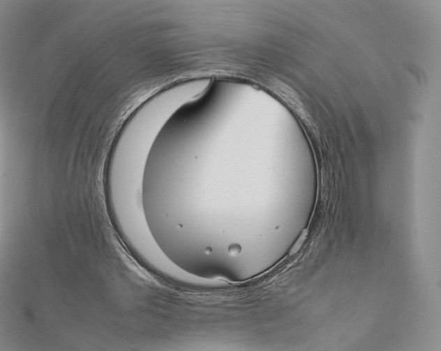 X0000112070389200909011027