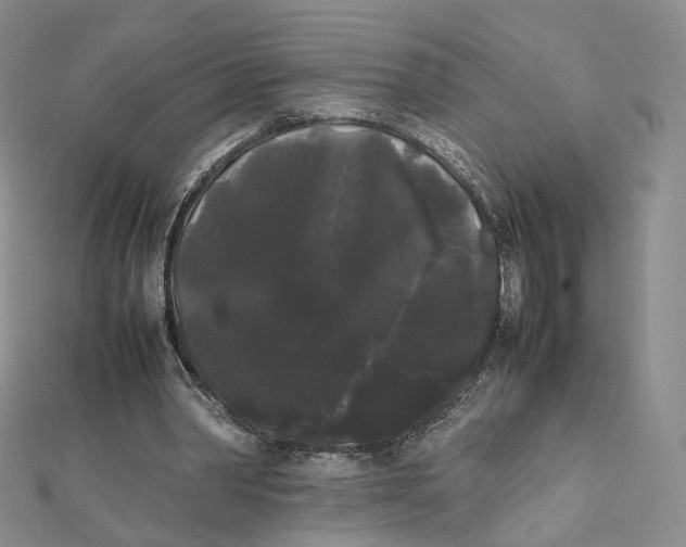 X0000112070390200909011027