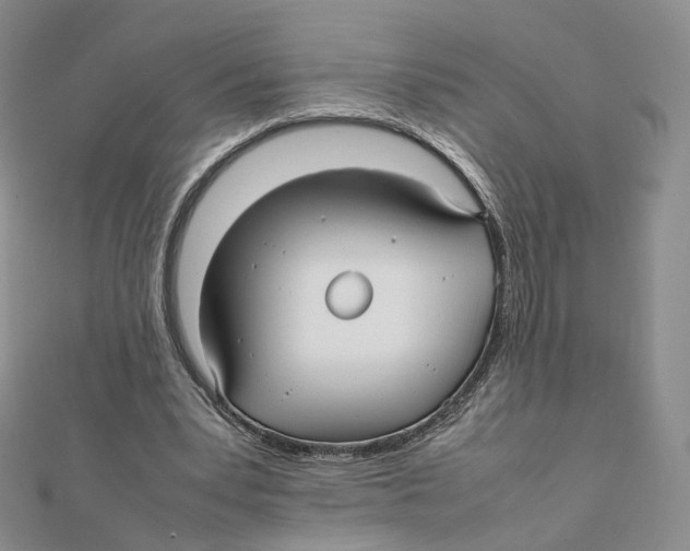 X0000112070391200909011027