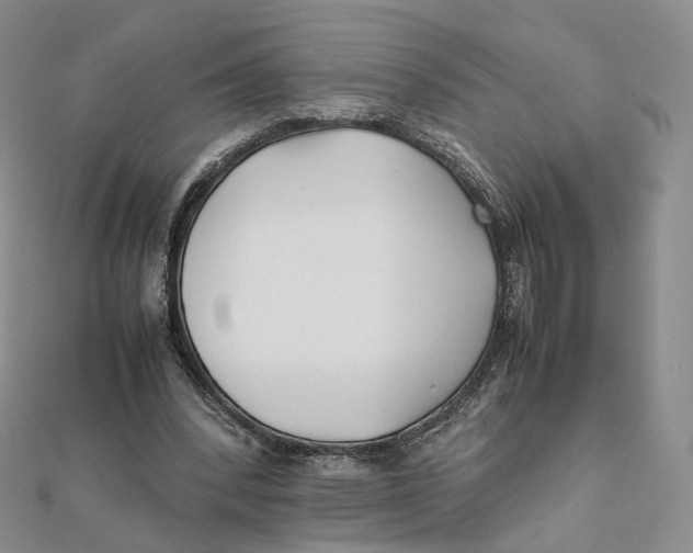 X0000112070392200909011027