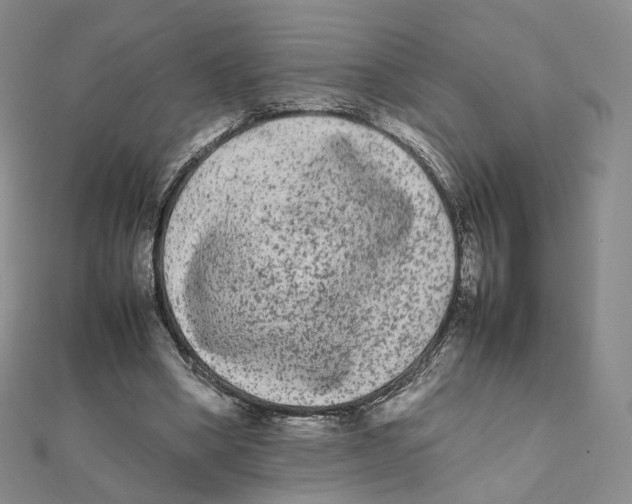 X0000112070394200909011027