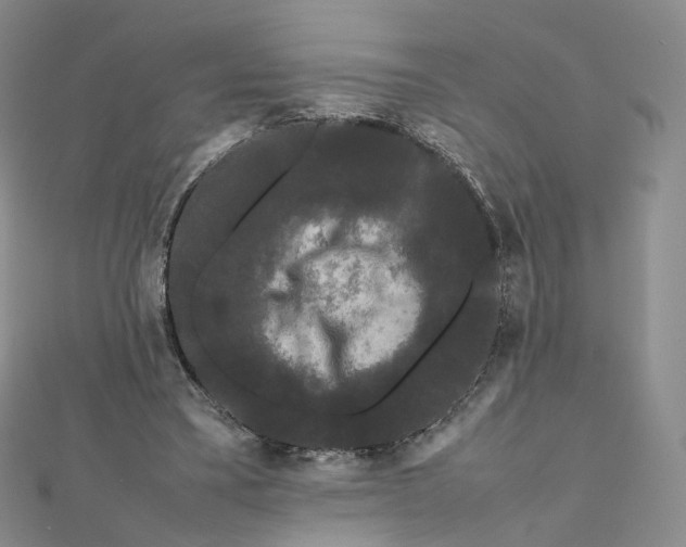 X0000112070395200909011027