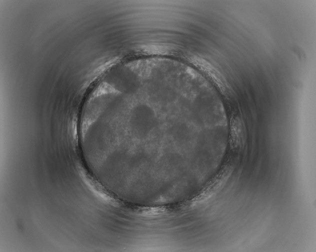 X0000112070398200909011027