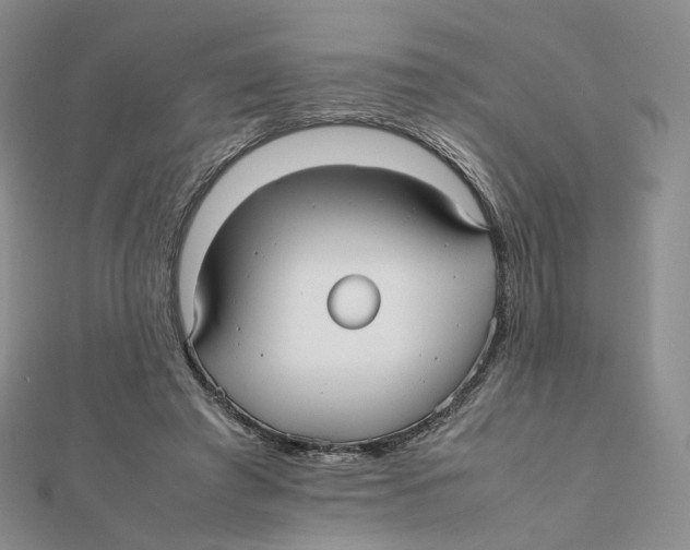 X0000112070401200909011027