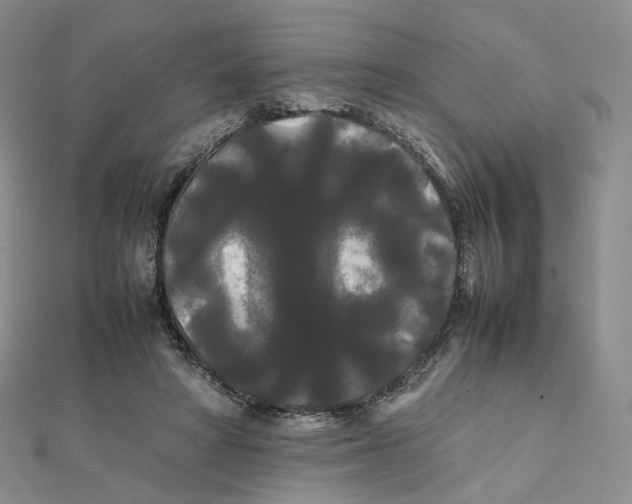 X0000112070402200909011027
