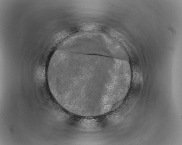 X0000112070403200909011027