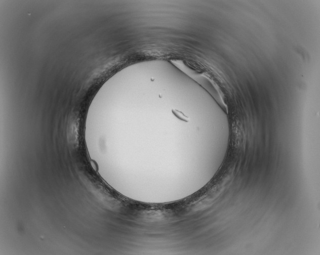 X0000112070404200909011027
