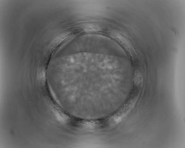 X0000112070405200909011027