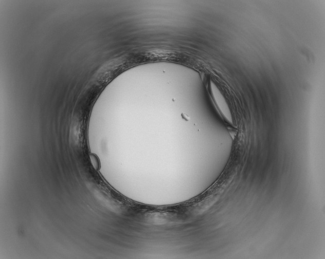 X0000112070408200909011027