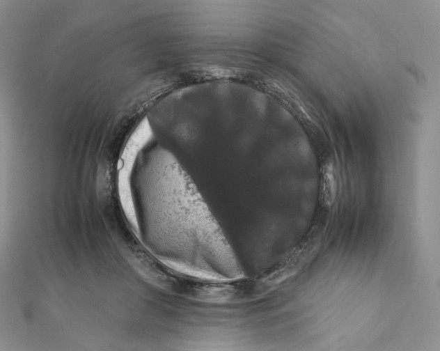 X0000112070410200909011027