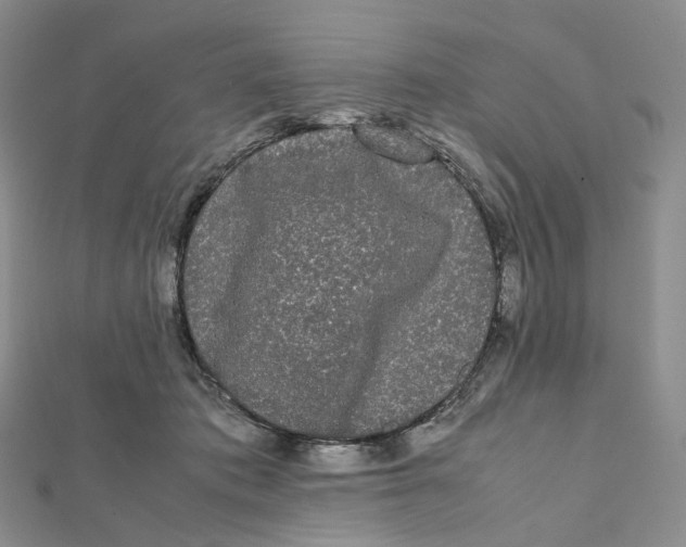 X0000112070413200909011027