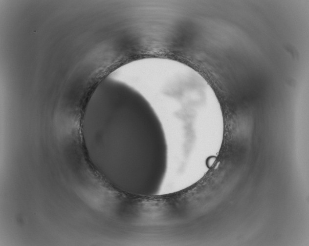 X0000112070415200909011027