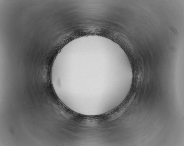 X0000112070416200909011027