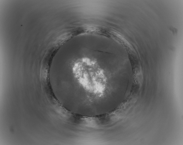 X0000112070417200909011027