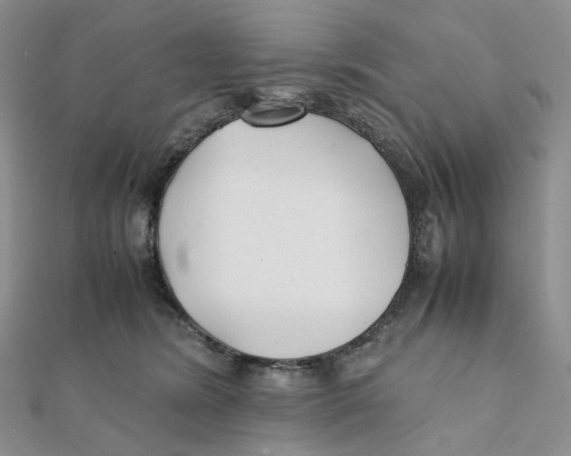 X0000112070420200909011027