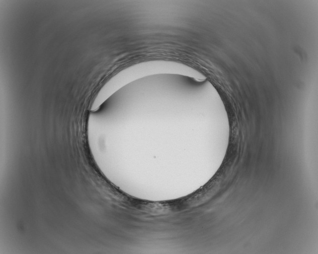 X0000112070421200909011027