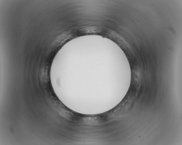 X0000112070422200909011026
