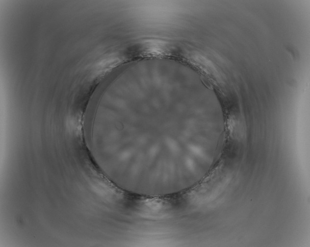 X0000112070423200909011026
