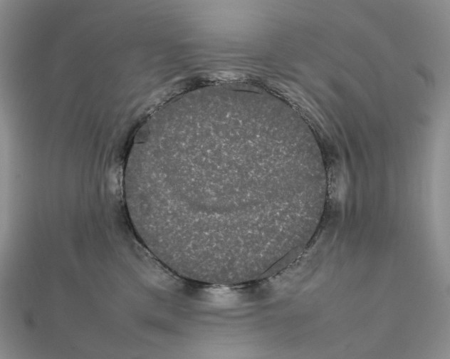 X0000112070425200909011026