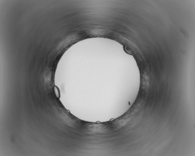 X0000112070428200909011026