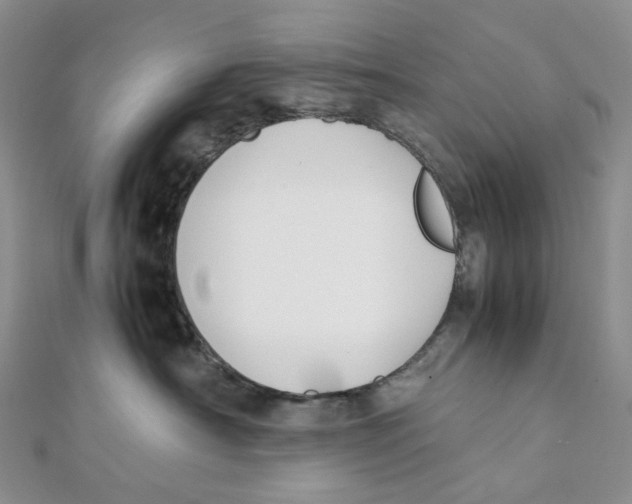 X0000112070430200909011026