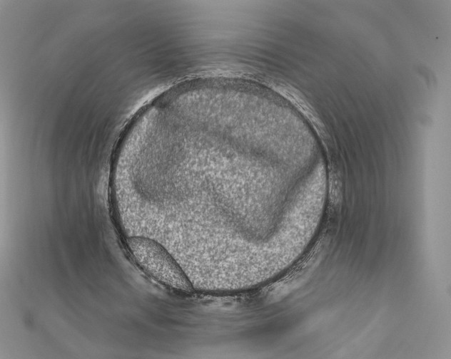 X0000112070434200909011026