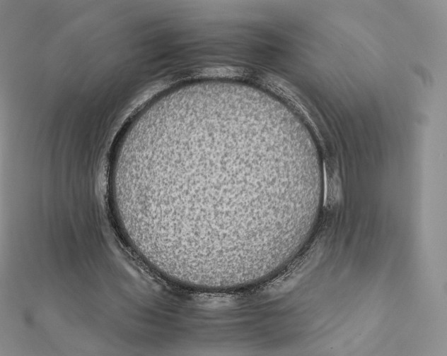 X0000112070435200909011026