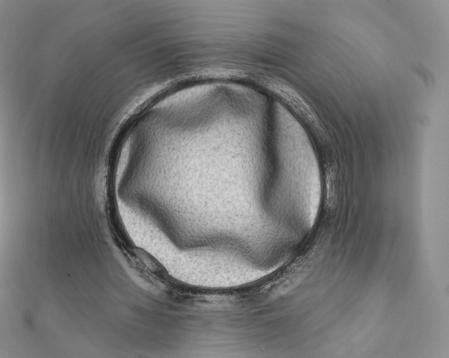 X0000112070436200909011026