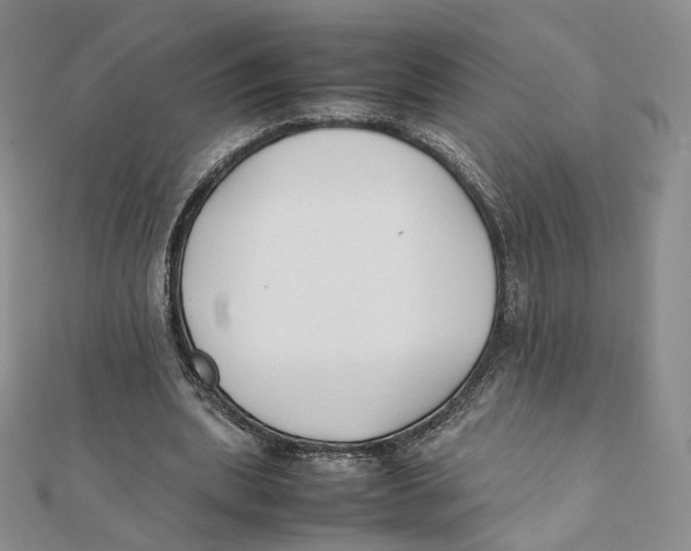 X0000112070439200909011026