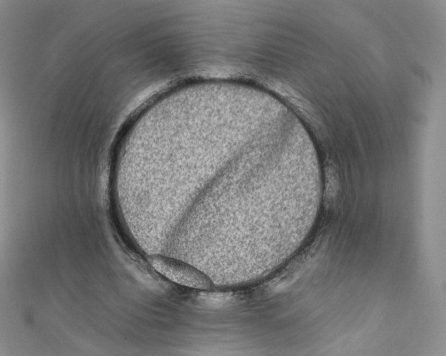 X0000112070440200909011026