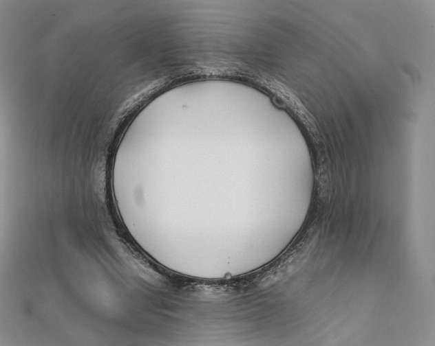 X0000112070442200909011026