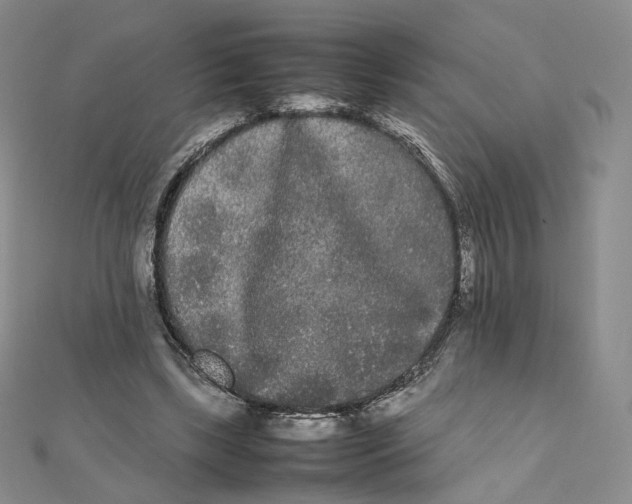 X0000112070443200909011026