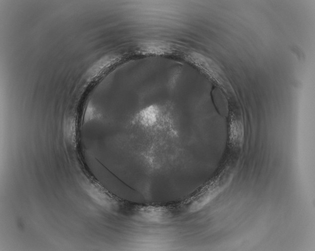 X0000112070444200909011026