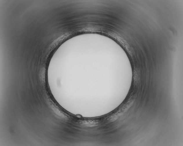 X0000112070445200909011026