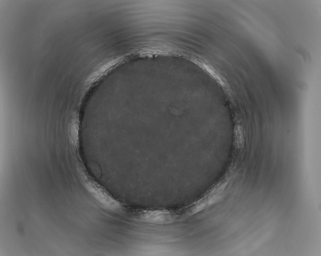 X0000112070446200909011026