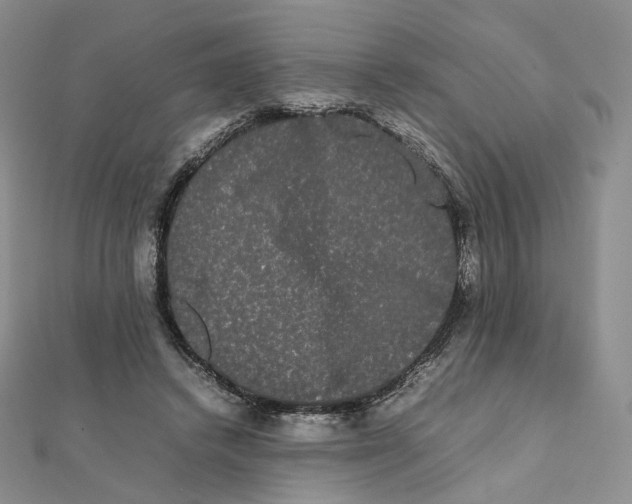 X0000112070448200909011026