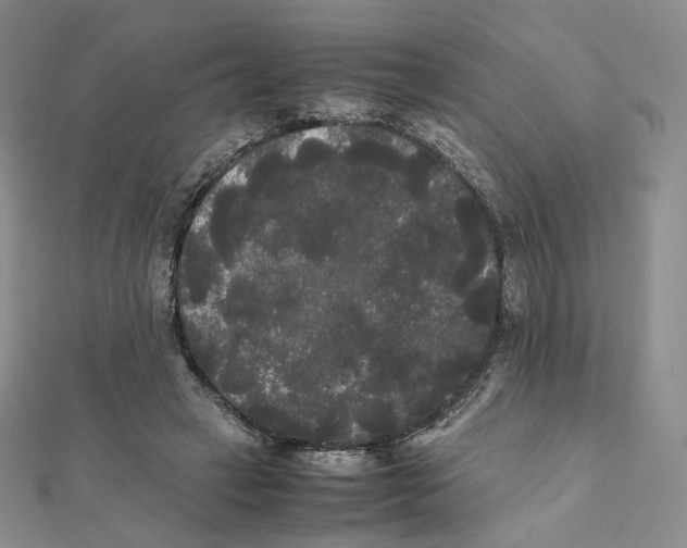 X0000112070449200909011026