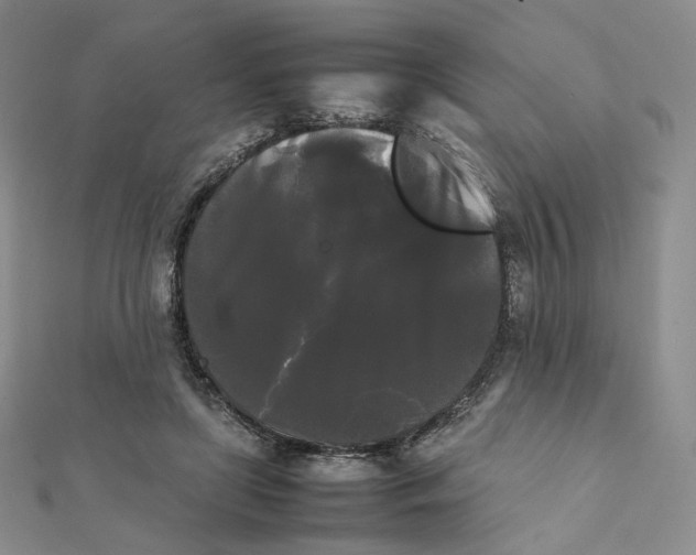 X0000112070451200909011026