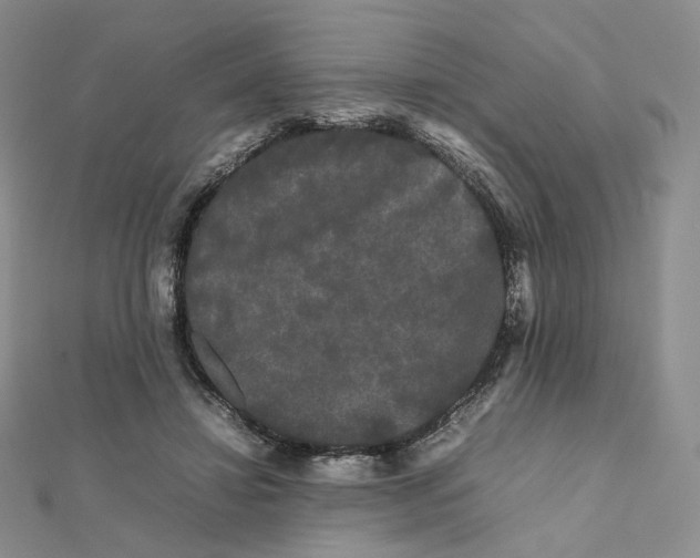 X0000112070452200909011026