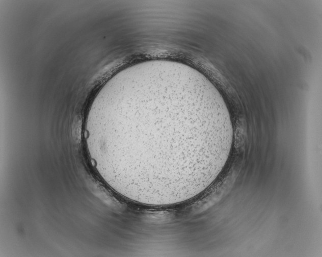 X0000112070454200909011026