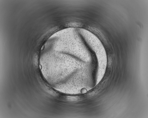 X0000112070457200909011026